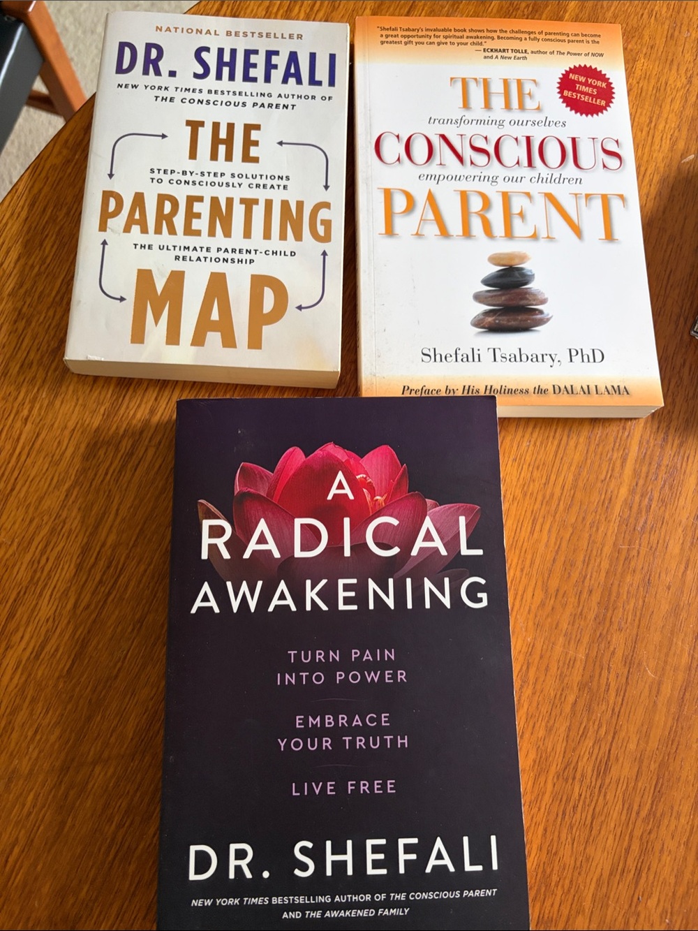 A Radical Awakening — Dr. Shefali (Black & Pink Hardcover)